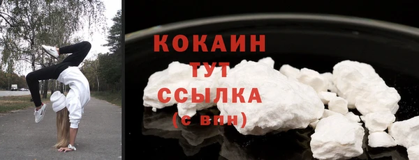 тгк Абаза