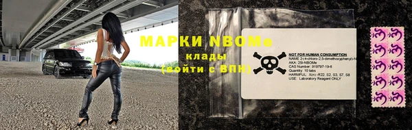 хмурый Алексин