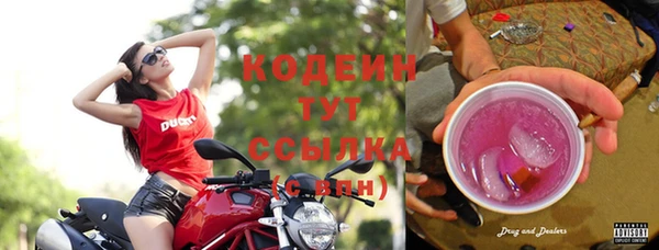 тгк Абаза