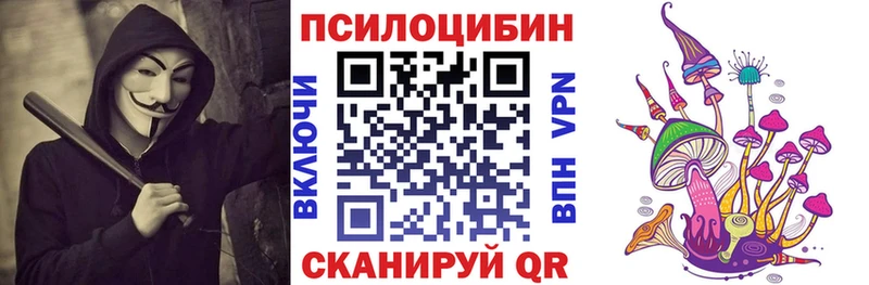 где найти наркотики  Чулым  Псилоцибиновые грибы Magic Shrooms 